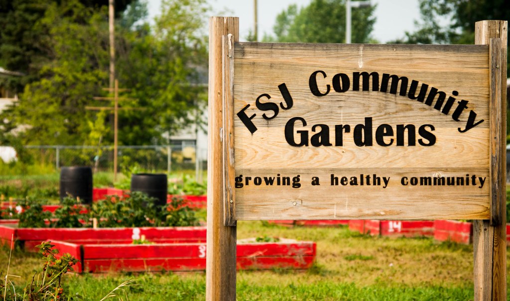 New society of gardeners formed to manage local community&nbsp;gardens