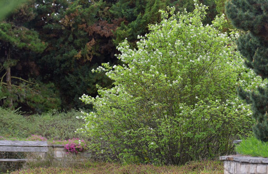 Don’t poke the bear – Hudson’s Hope residents concerned about bylaw&nbsp;update