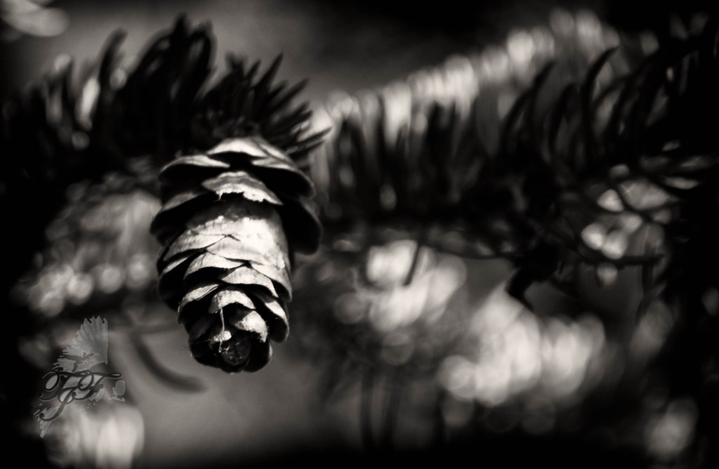 The Broken Typewriter Year in Review: Top Stories of&nbsp;2024