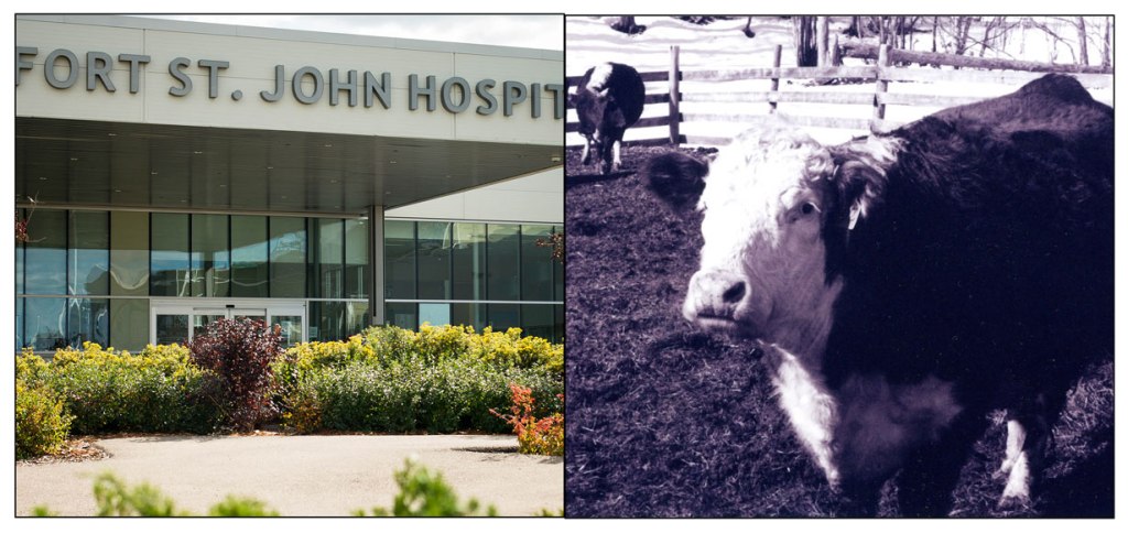 Year in Review: Top Stories of 2024&nbsp;#6