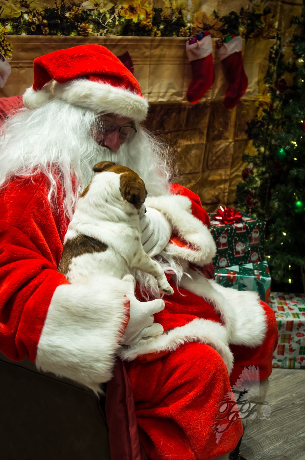 Heart of the Holidays: Local resident creates special visits with Santa for autistic children, fundraises for rescued pets&nbsp;too